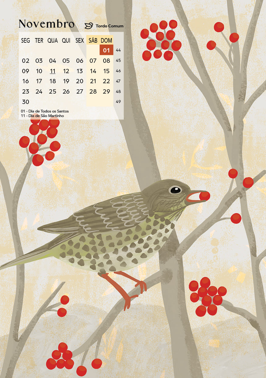 Calendário 2026 Pássaros cantores 8 Calendário 2026 Pássaros cantores - Image 8