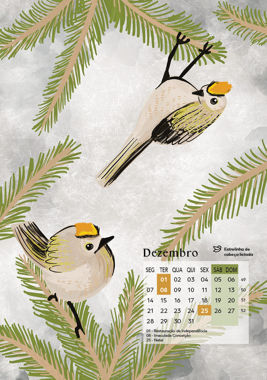 Calendário 2026 Pássaros cantores 7 Calendário 2026 Pássaros cantores - Image 7